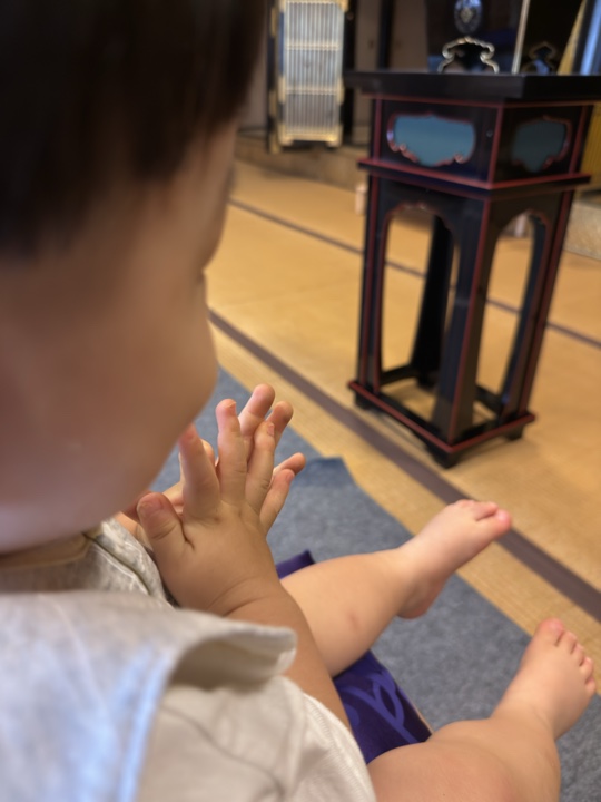 教行寺本堂で合掌する幼いお子さま