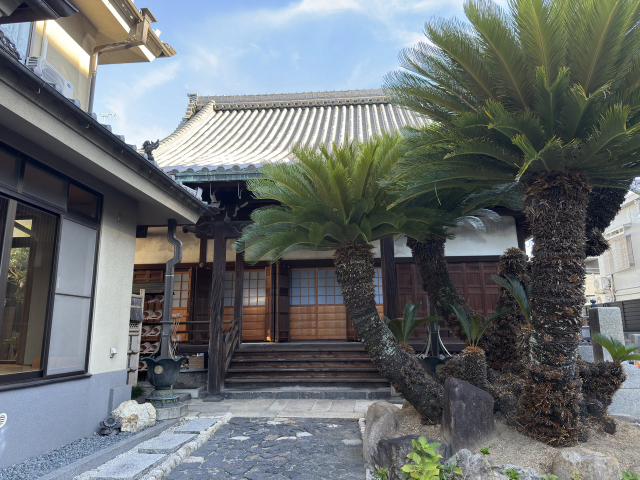境内から見た教行寺本堂と蘇鉄